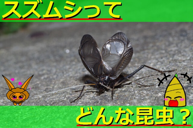 Thumbnail of post image 005